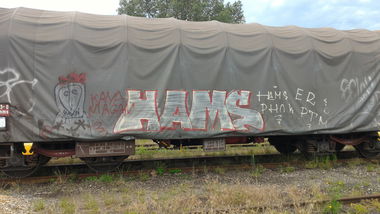 Graffiti Train - Photo by strasbourgraffiti