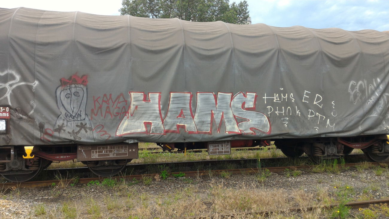 Graffiti Train - Photo by strasbourgraffiti