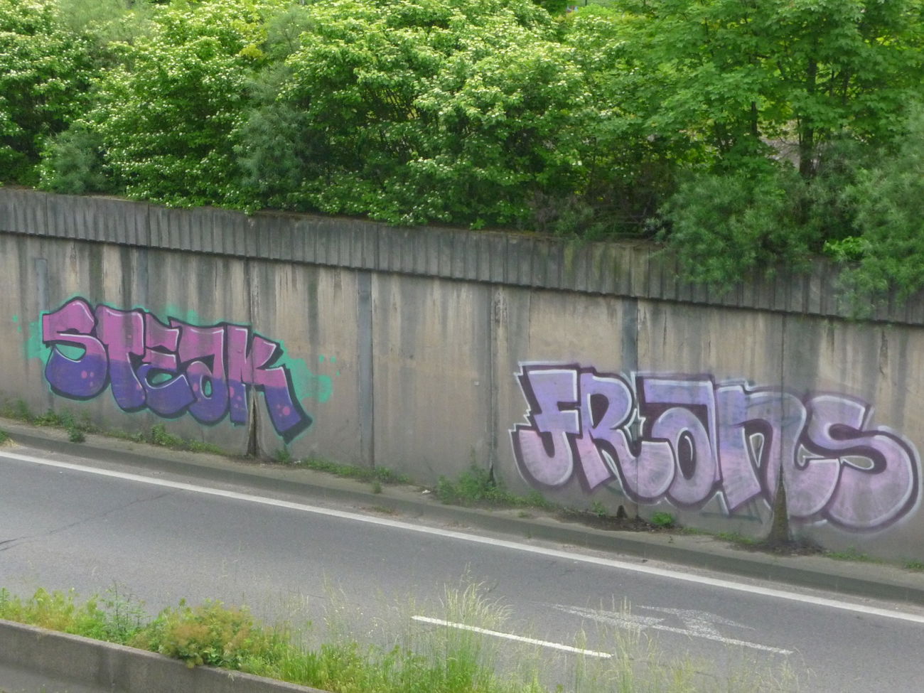 Graffiti Bombing - Photo by strasbourgraffiti