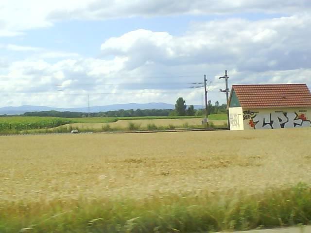 Graffiti Bombing - Photo by strasbourgraffiti