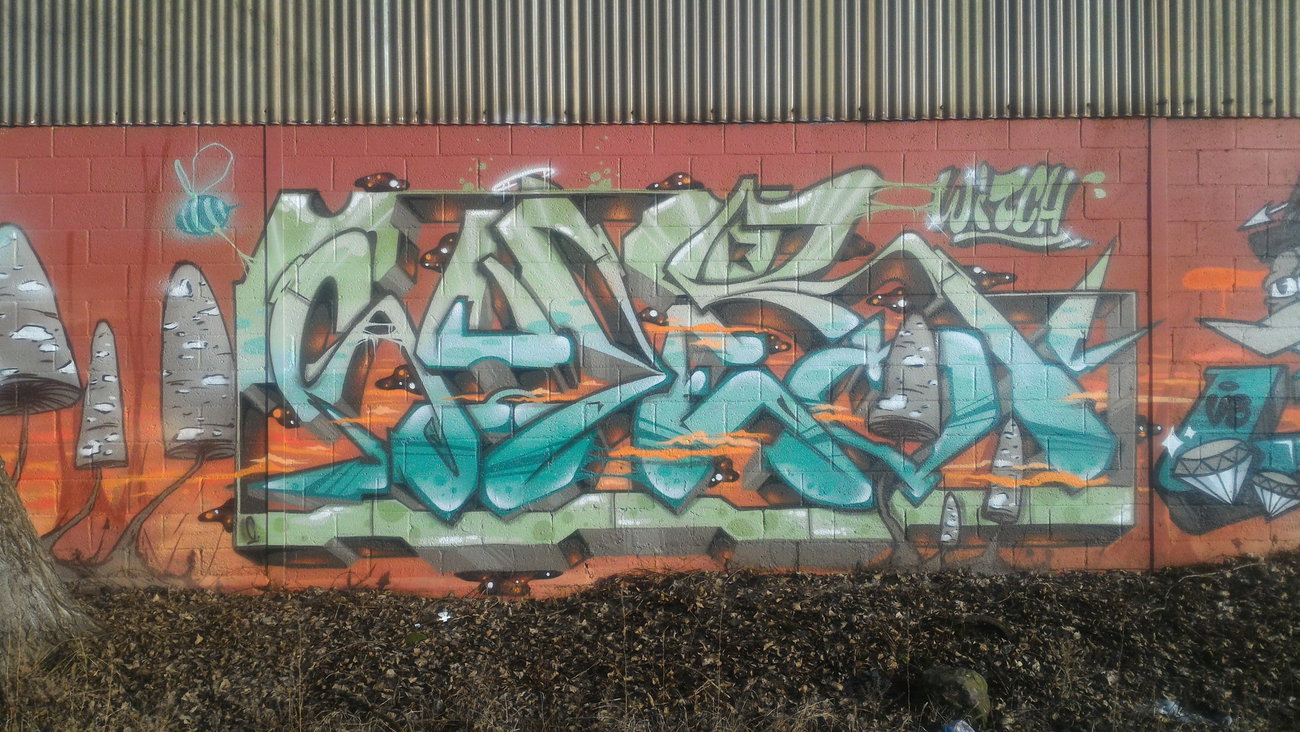 Graffiti Wall - Photo by strasbourgraffiti