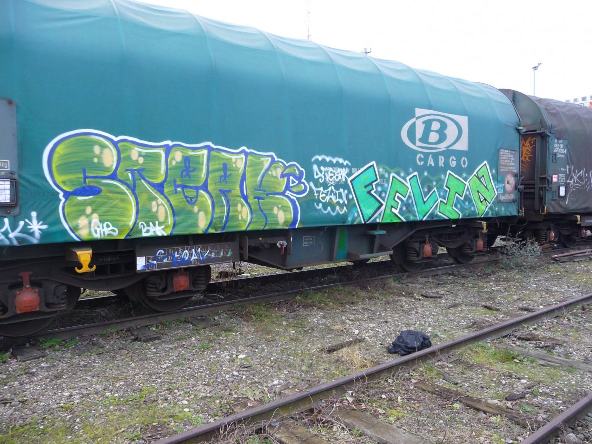 Graffiti Train - Photo by strasbourgraffiti (2015)