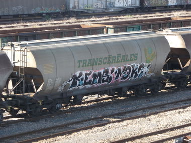 Graffiti Train - Photo by strasbourgraffiti