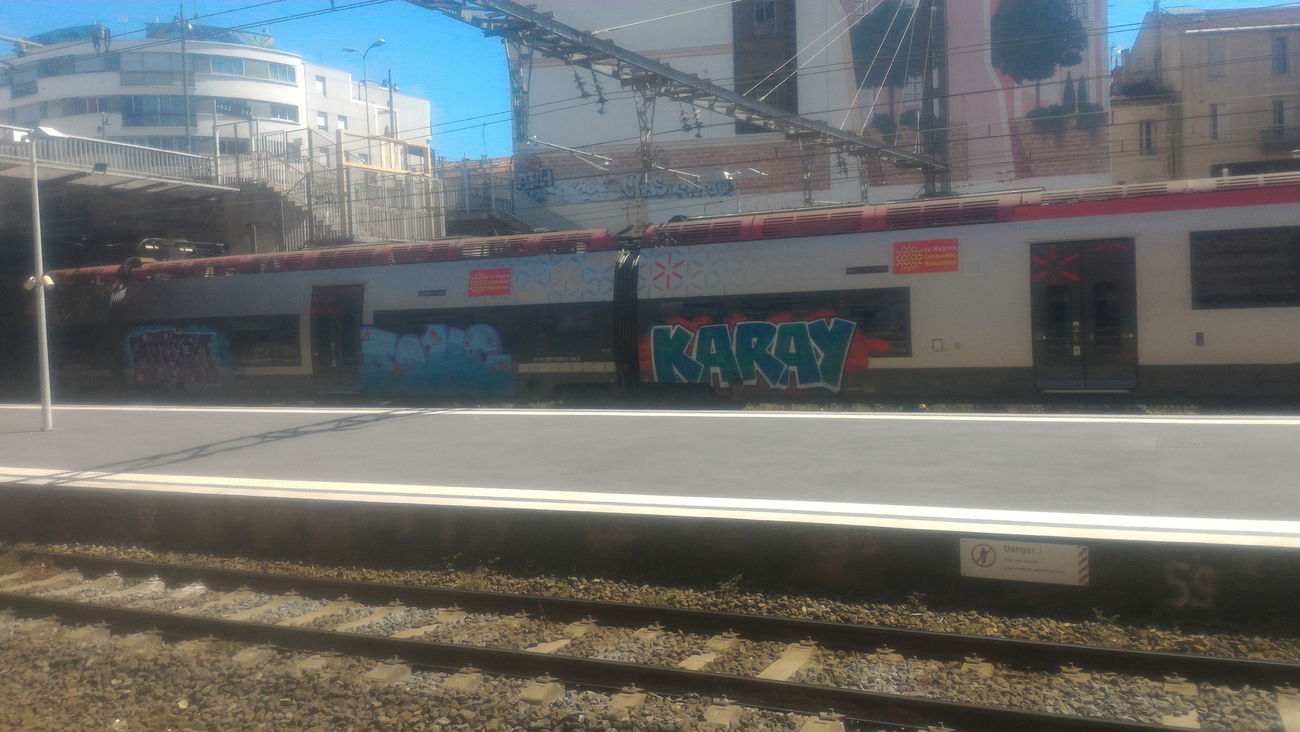 Graffiti Train - Photo by strasbourgraffiti