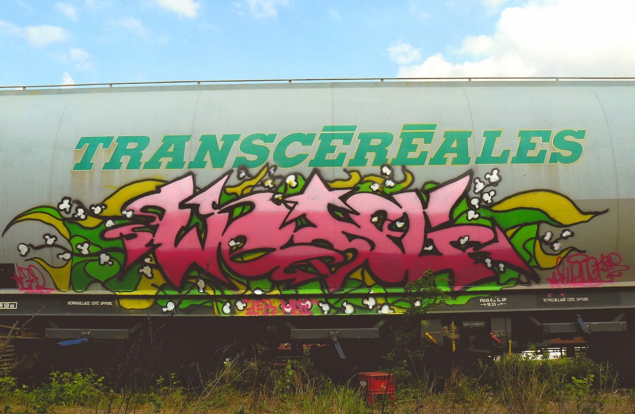 Graffiti Train - Photo by strasbourgraffiti