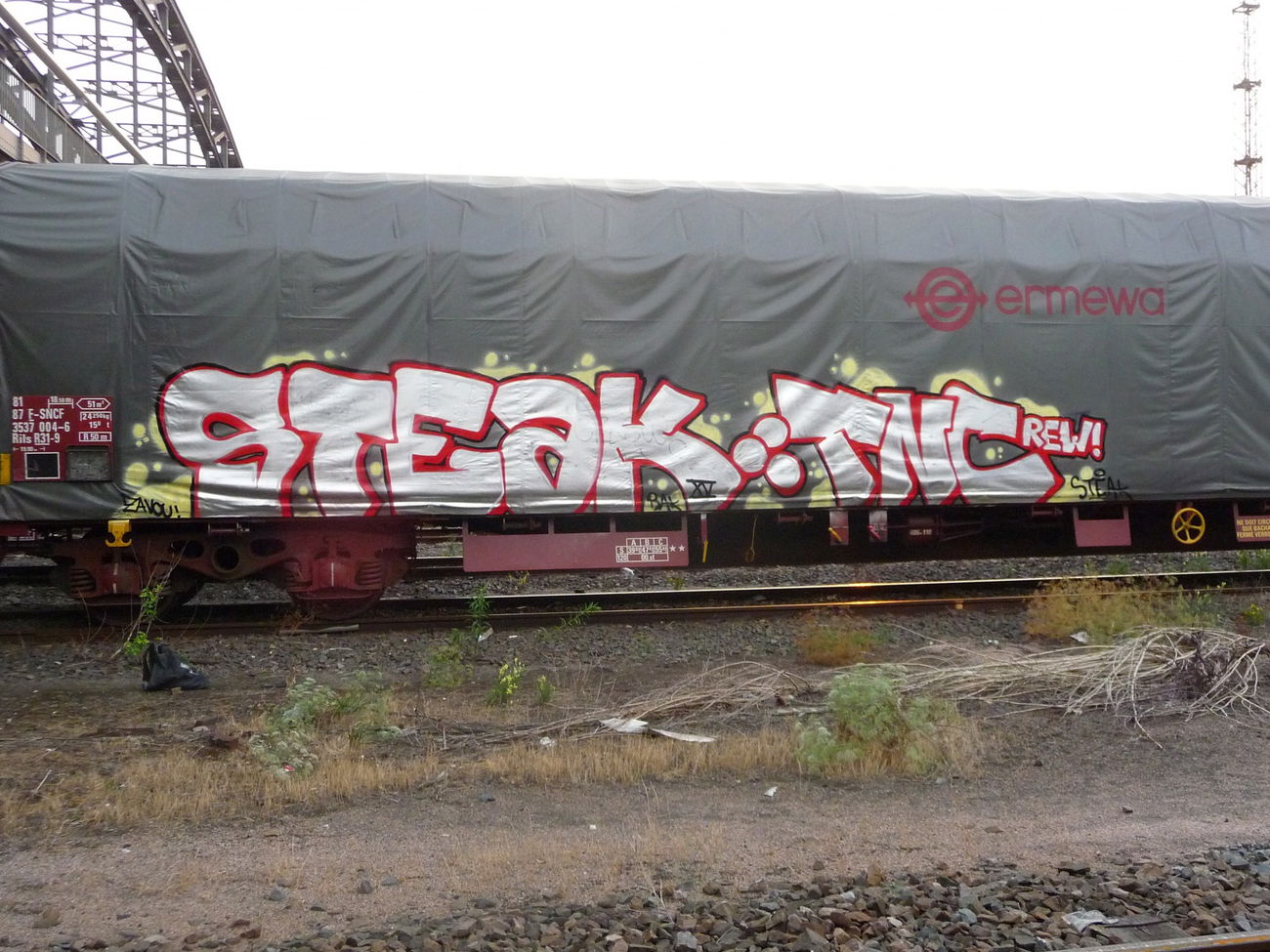 Graffiti Train - Photo by strasbourgraffiti
