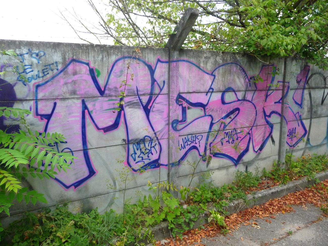 Graffiti Bombing - Photo by strasbourgraffiti