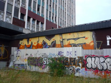 Graffiti Bombing - Photo by strasbourgraffiti
