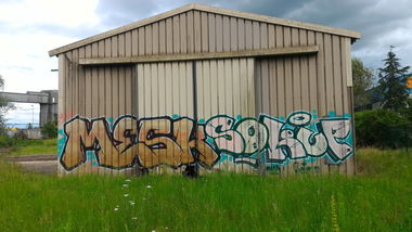 Graffiti Bombing - Photo by strasbourgraffiti