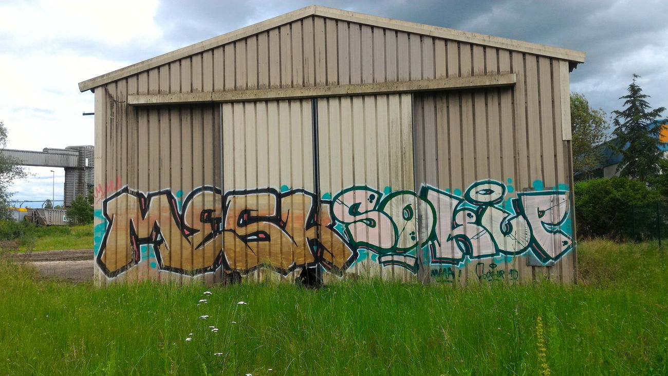 Graffiti Bombing - Photo by strasbourgraffiti