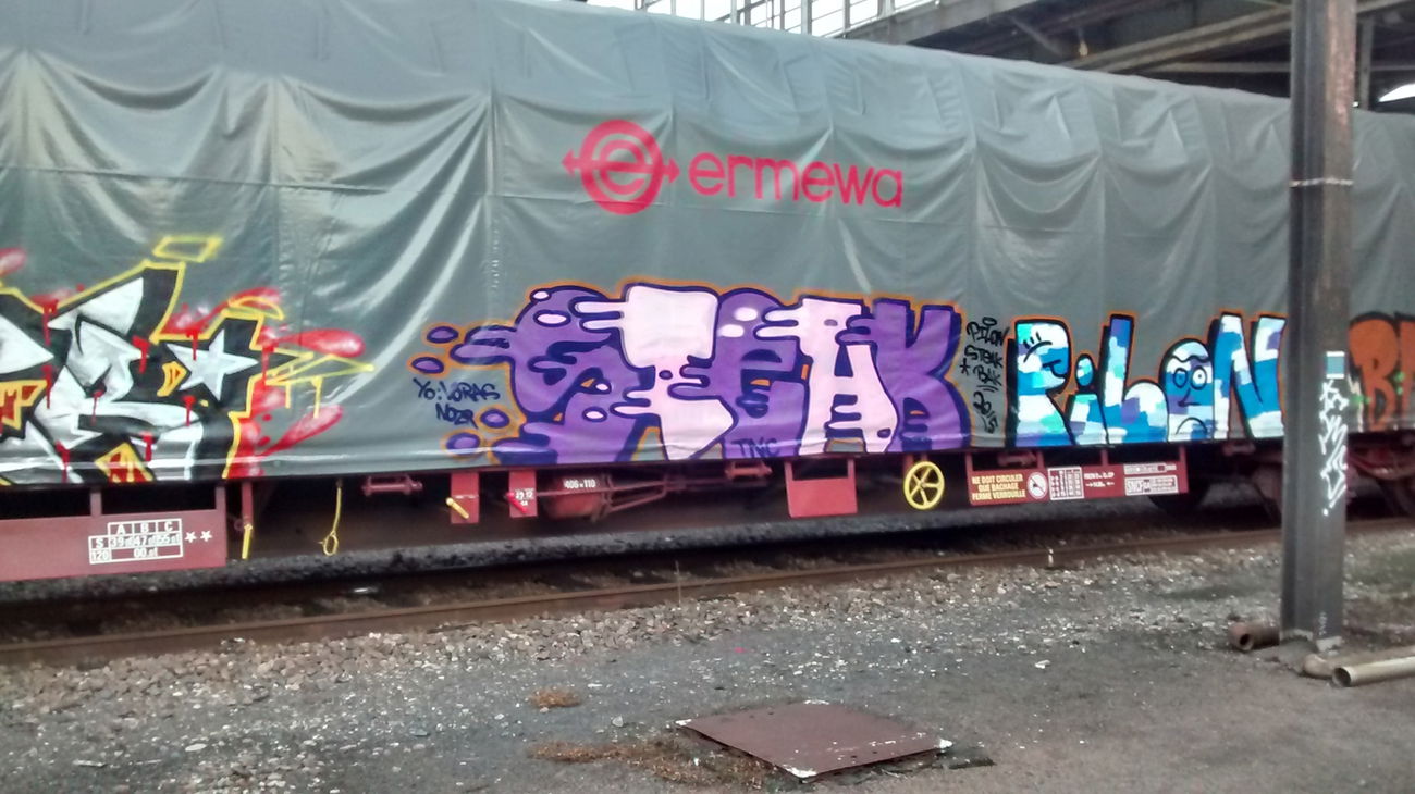 Graffiti Train - Photo by strasbourgraffiti