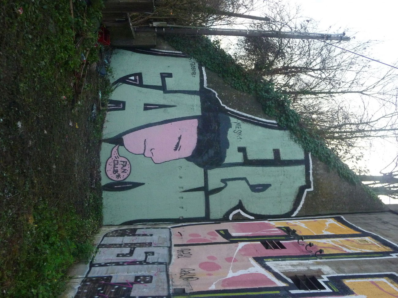 Graffiti Bombing - Photo by strasbourgraffiti