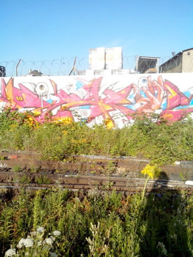 Graffiti Wall - Photo by strasbourgraffiti - pisko
