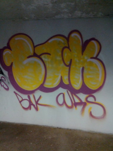 Graffiti Bombing - Photo by strasbourgraffiti