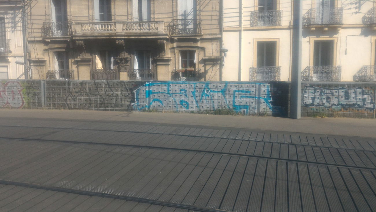 Graffiti Bombing - Photo by strasbourgraffiti