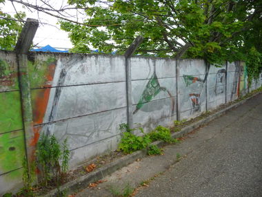 Graffiti Bombing - Photo by strasbourgraffiti