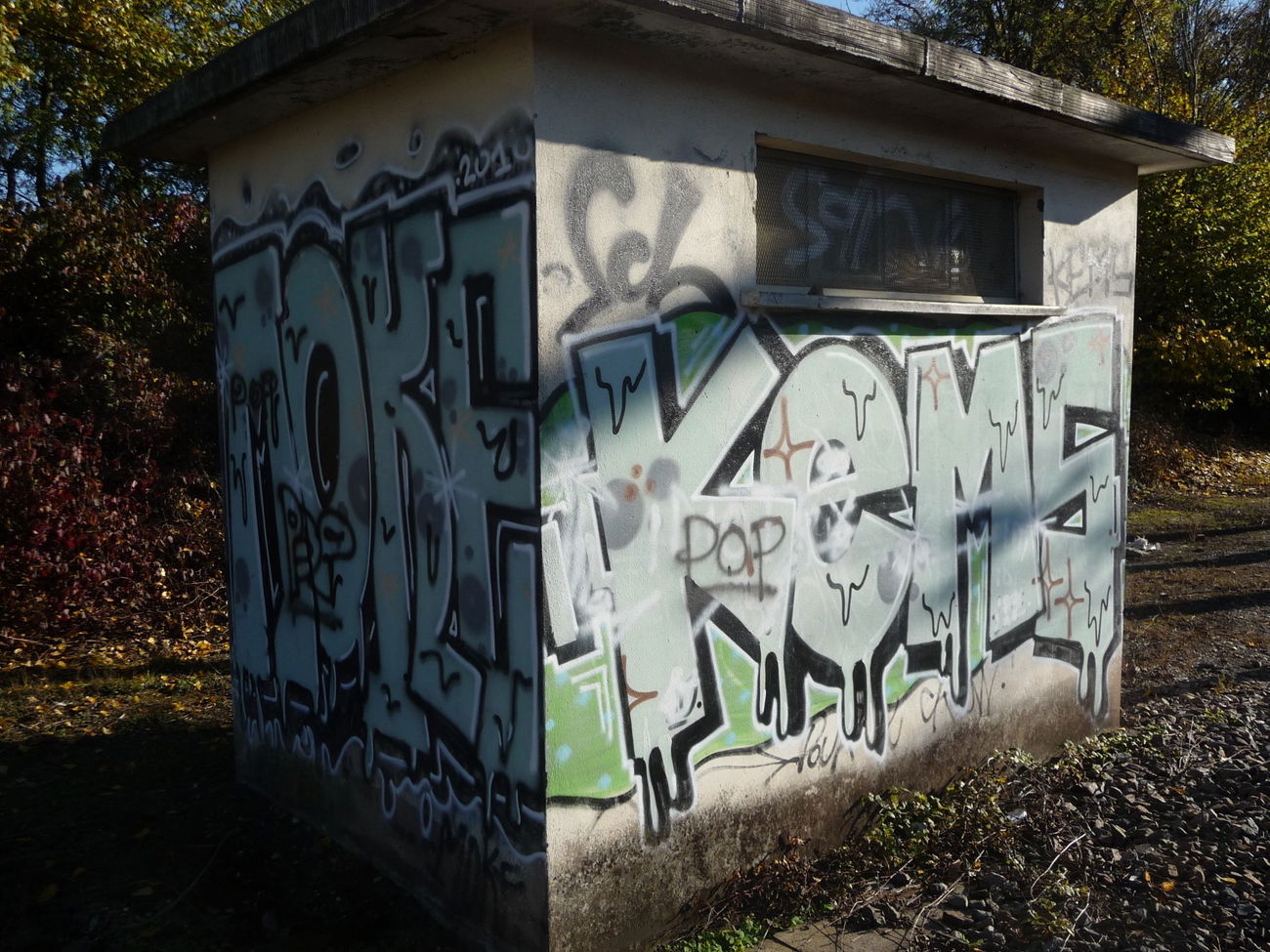 Graffiti Bombing - Photo by strasbourgraffiti