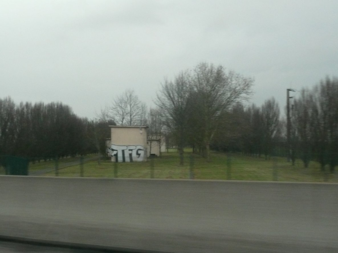 Graffiti Bombing - Photo by strasbourgraffiti