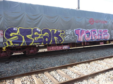 Graffiti Train - Photo by strasbourgraffiti