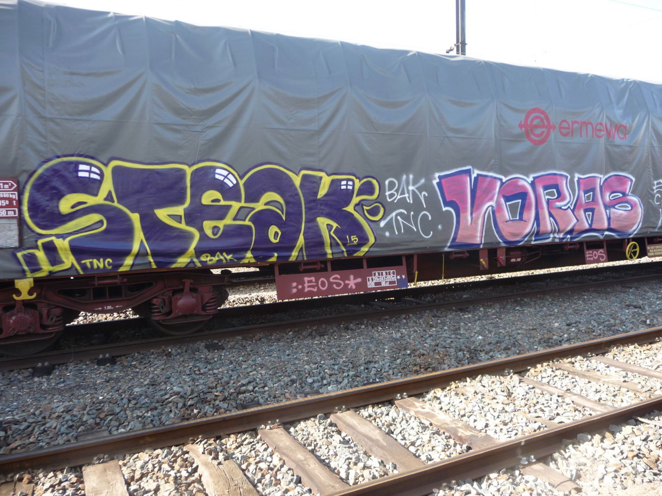 Graffiti Train - Photo by strasbourgraffiti
