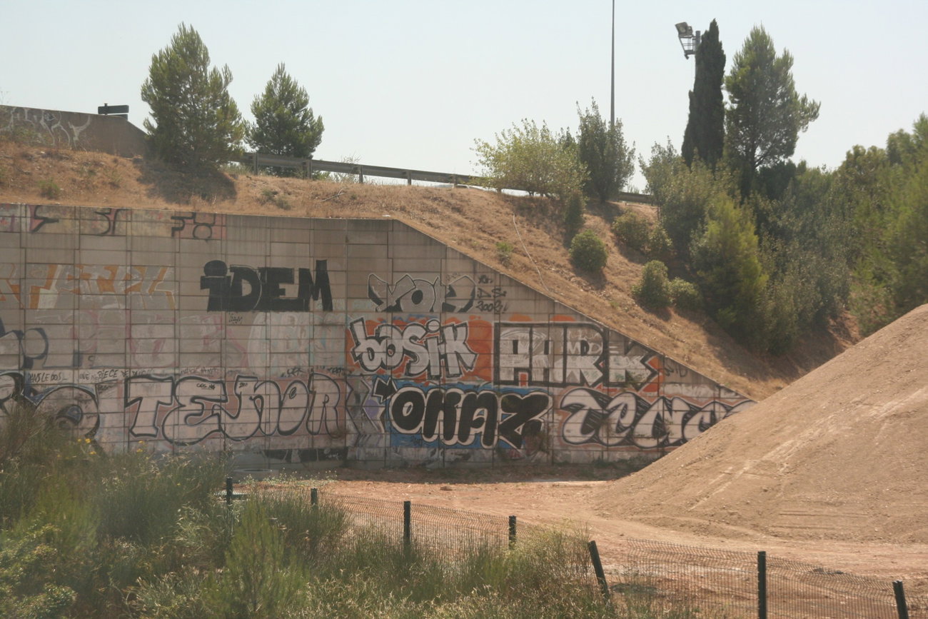 Graffiti Bombing - Photo by strasbourgraffiti