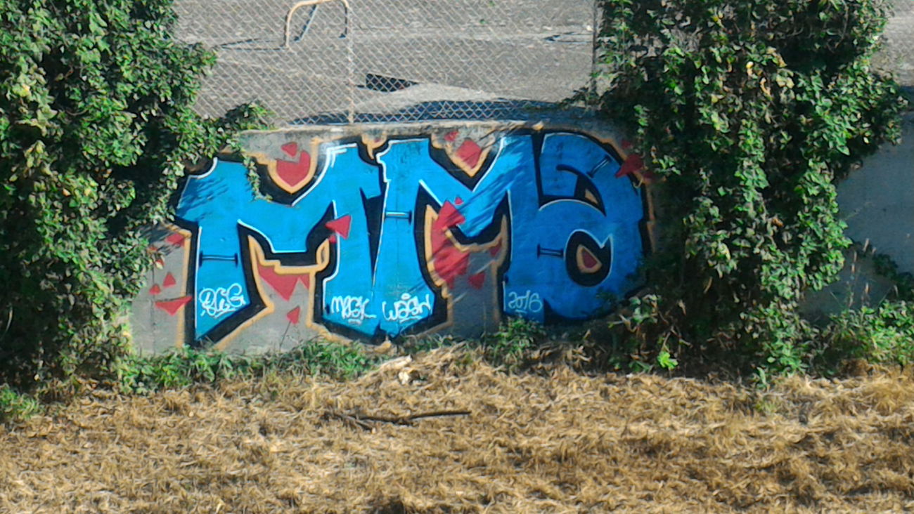 Graffiti Bombing - Photo by strasbourgraffiti
