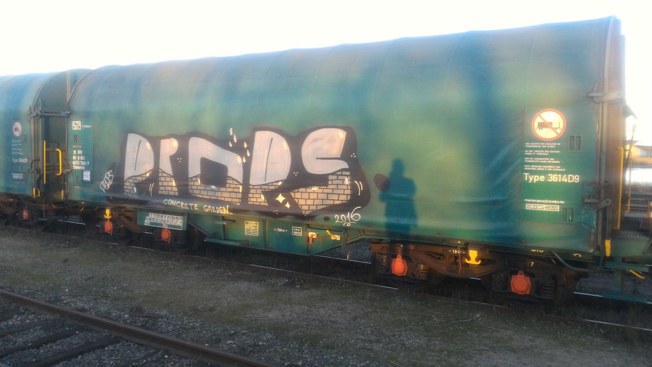 Graffiti Train - Photo by strasbourgraffiti