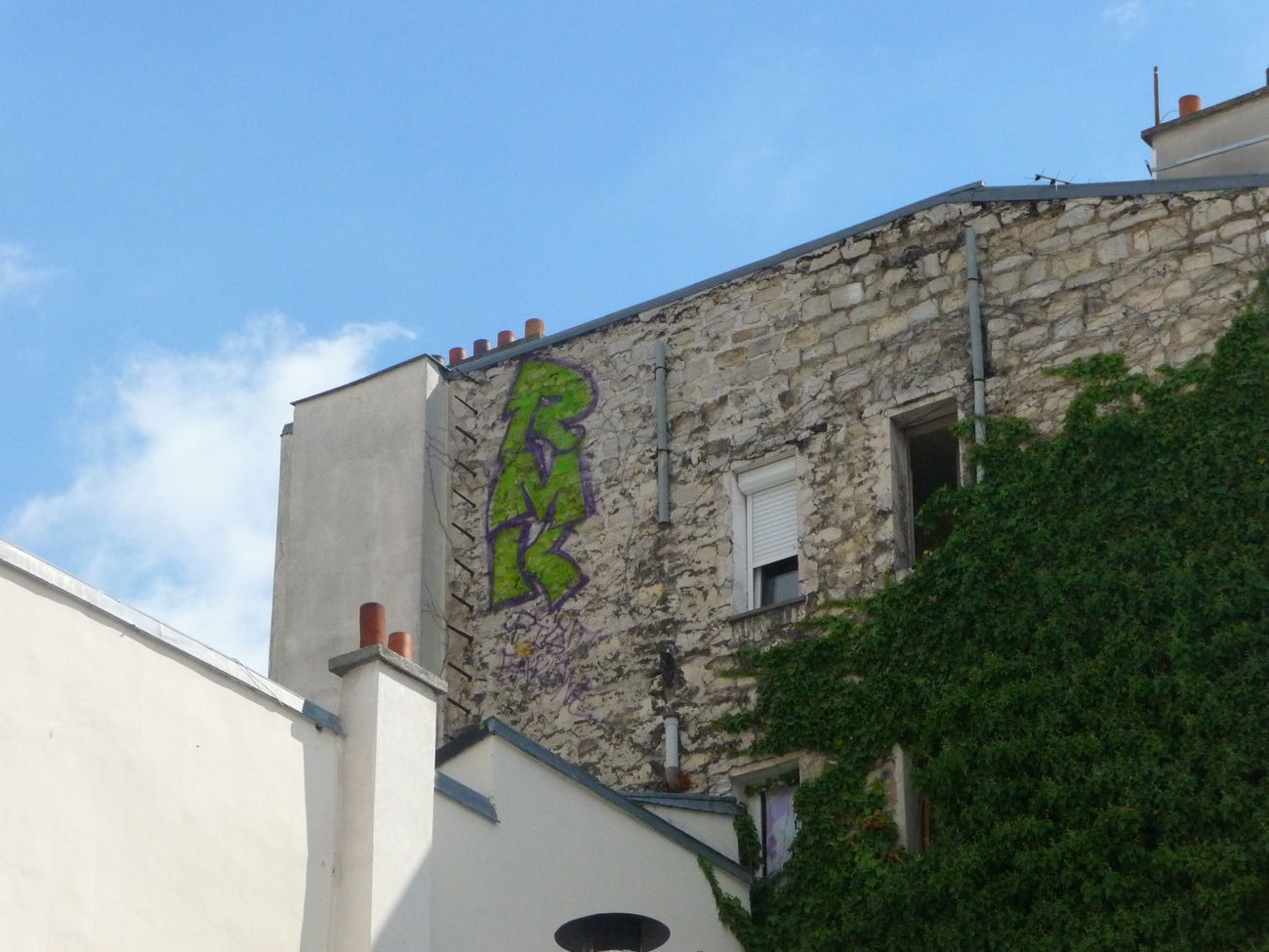 Graffiti Bombing - Photo by strasbourgraffiti