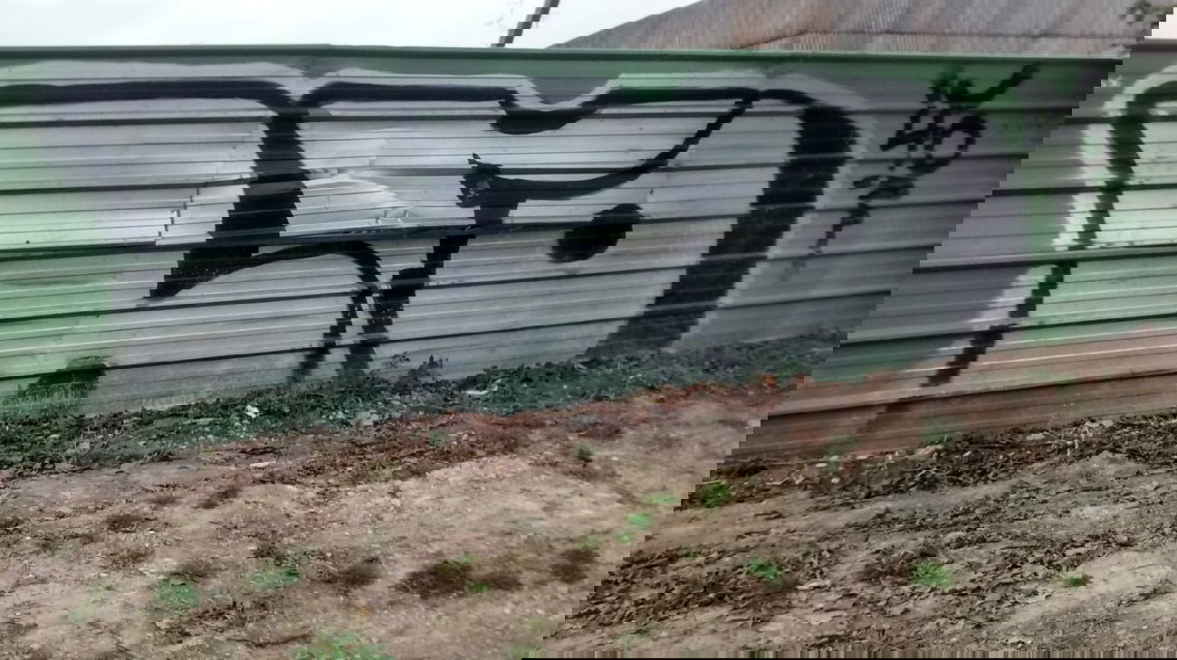 Graffiti Bombing - Photo by strasbourgraffiti