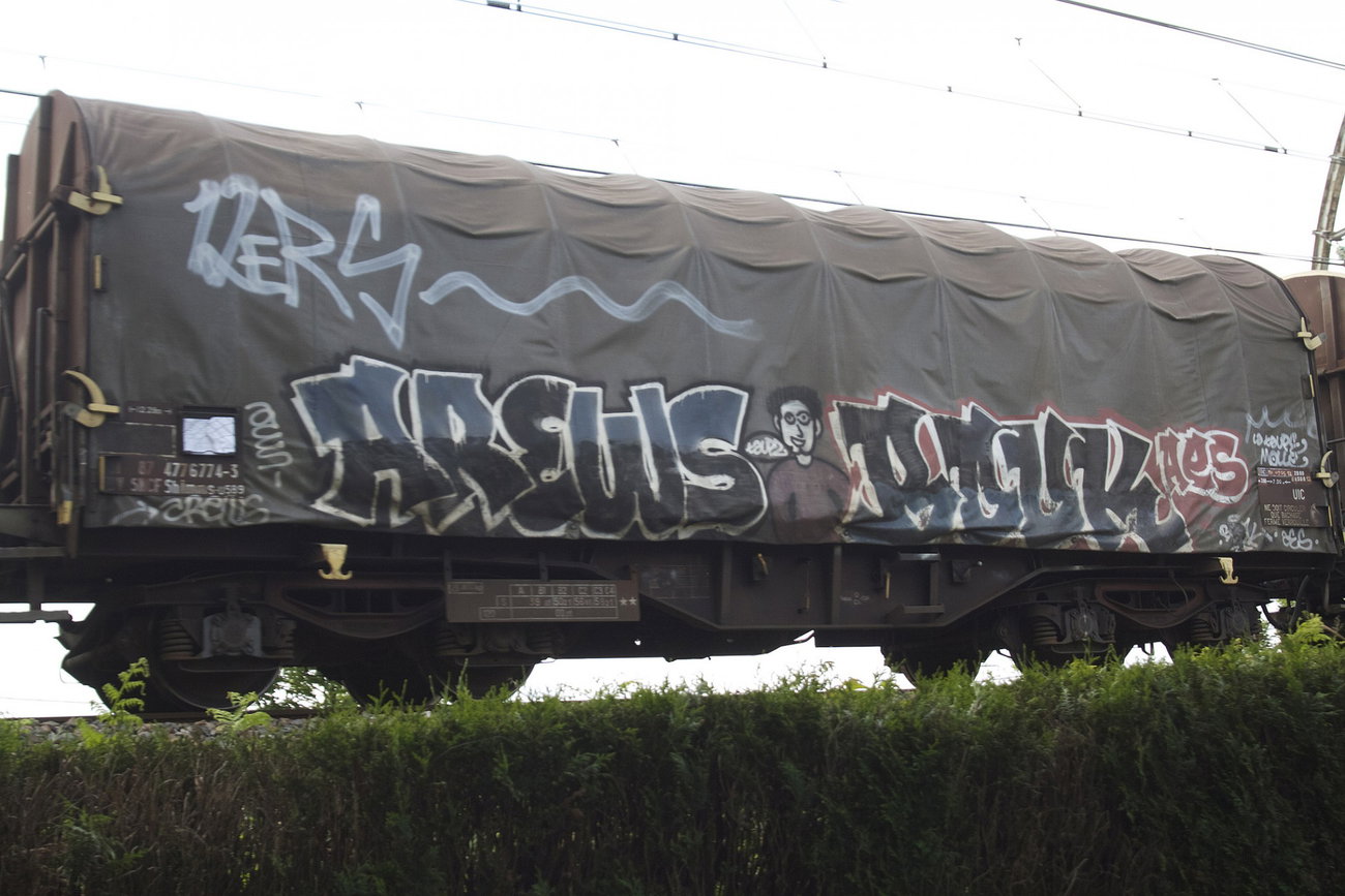 Graffiti Train - Photo by strasbourgraffiti