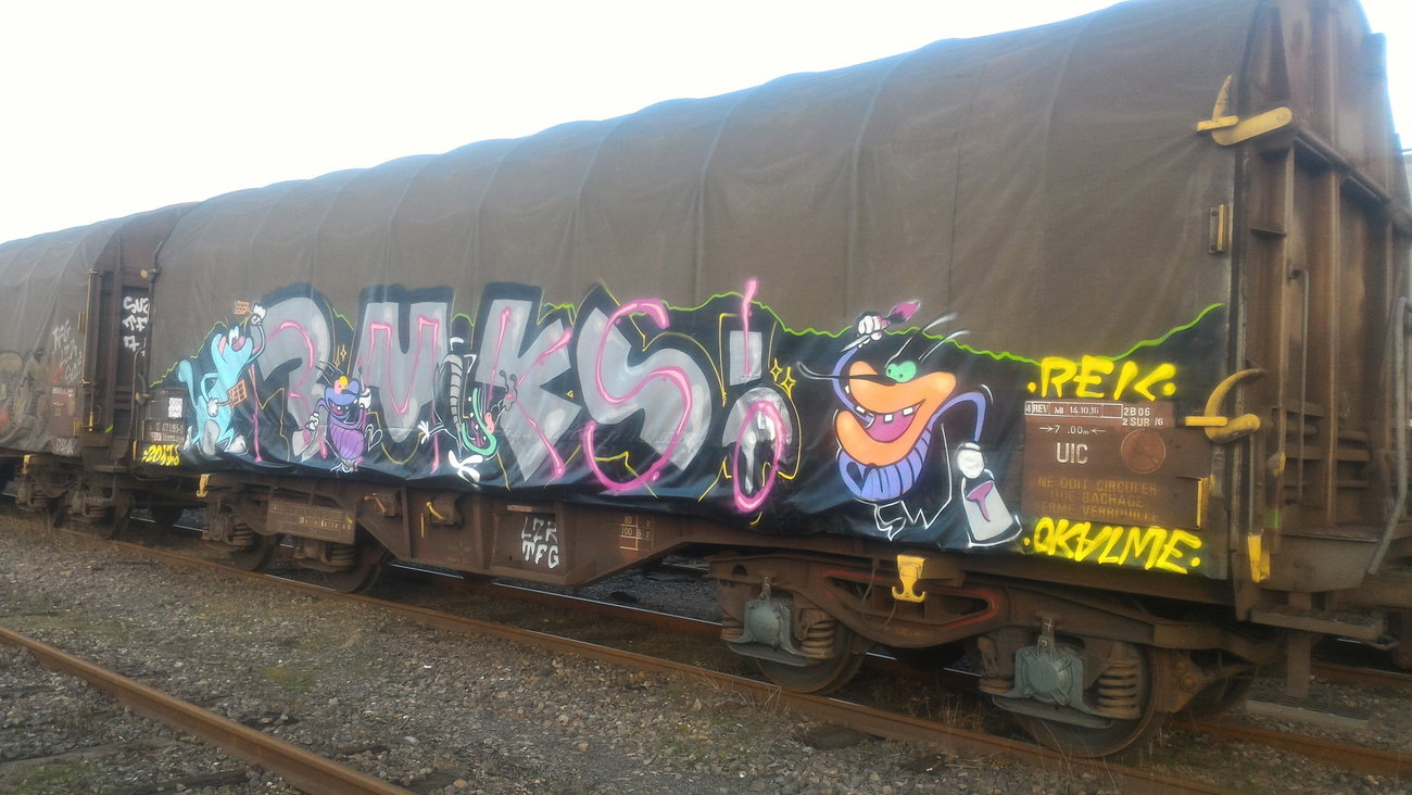 Graffiti Train - Photo by strasbourgraffiti