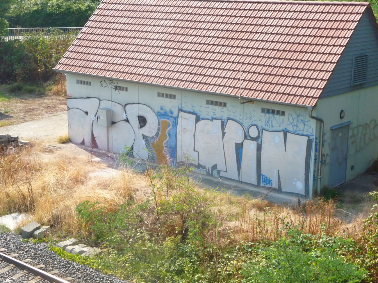 Graffiti Bombing - Photo by strasbourgraffiti