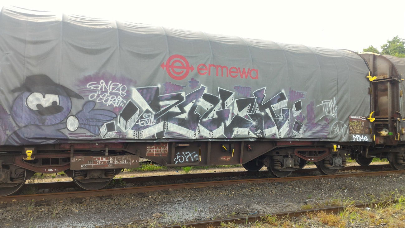 Graffiti Bombing - Photo by strasbourgraffiti