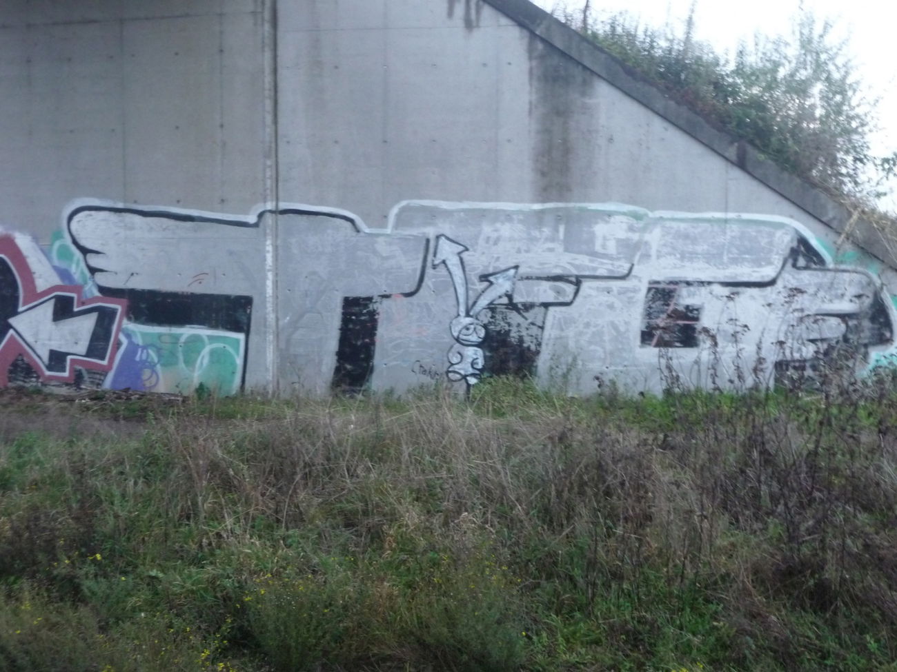 Graffiti Bombing - Photo by strasbourgraffiti