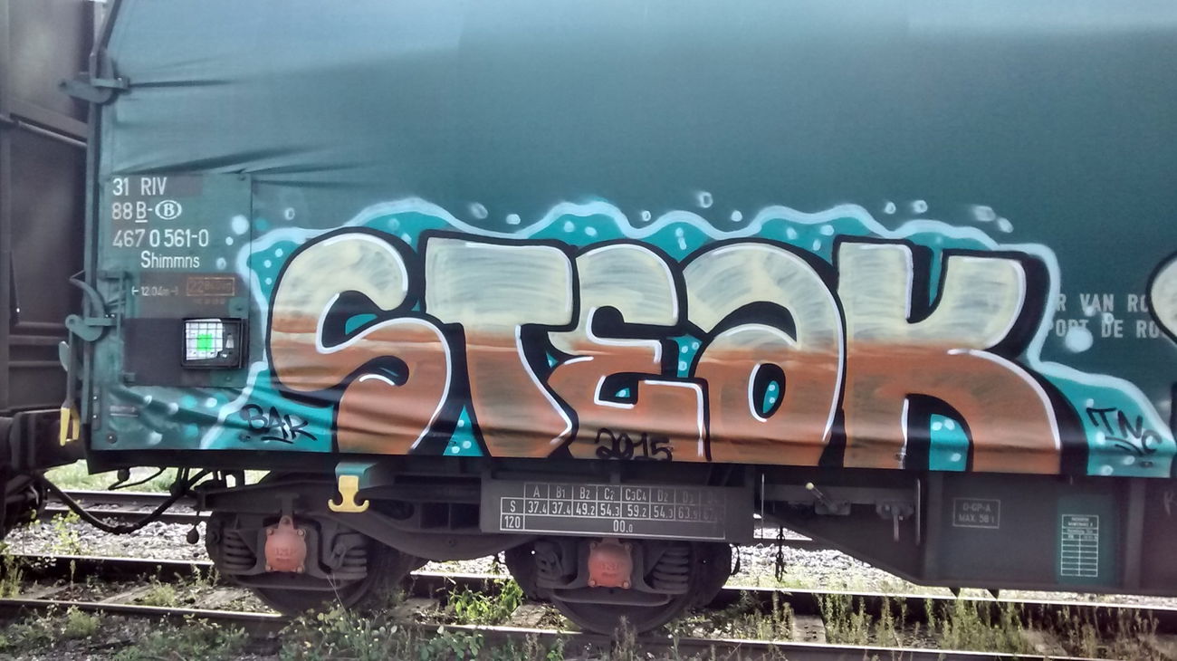 Graffiti Train - Photo by strasbourgraffiti