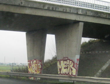 Graffiti Bombing - Photo by strasbourgraffiti