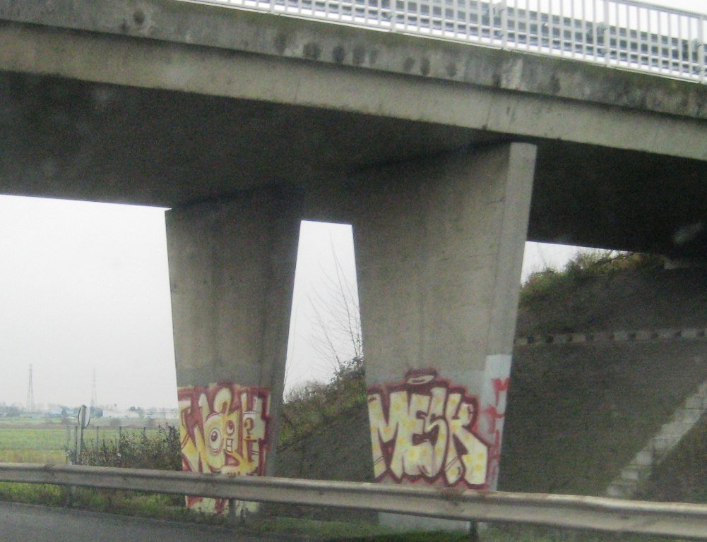 Graffiti Bombing - Photo by strasbourgraffiti