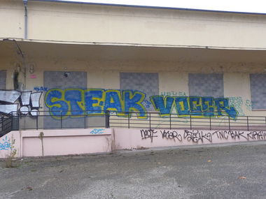 Graffiti Bombing - Photo by strasbourgraffiti