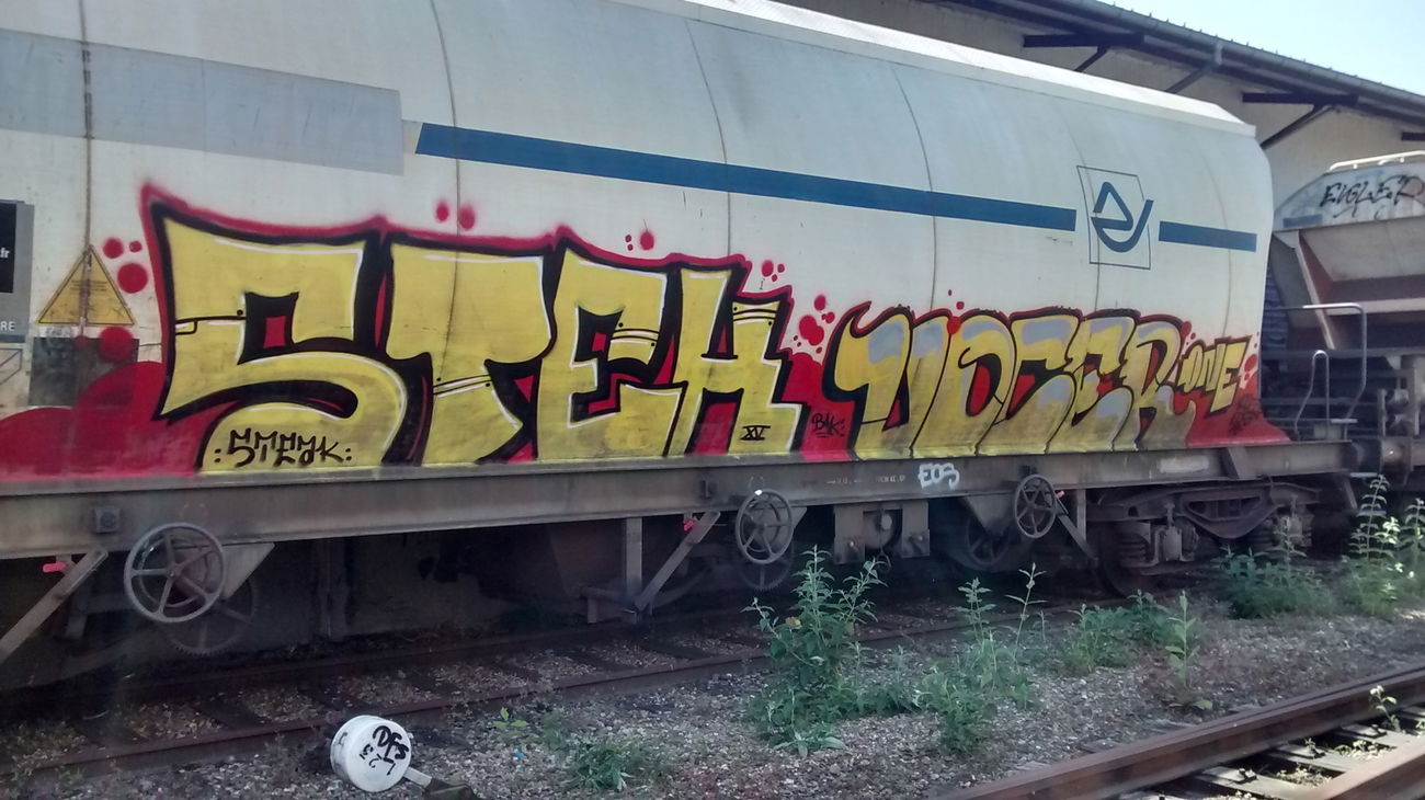 Graffiti Train - Photo by strasbourgraffiti