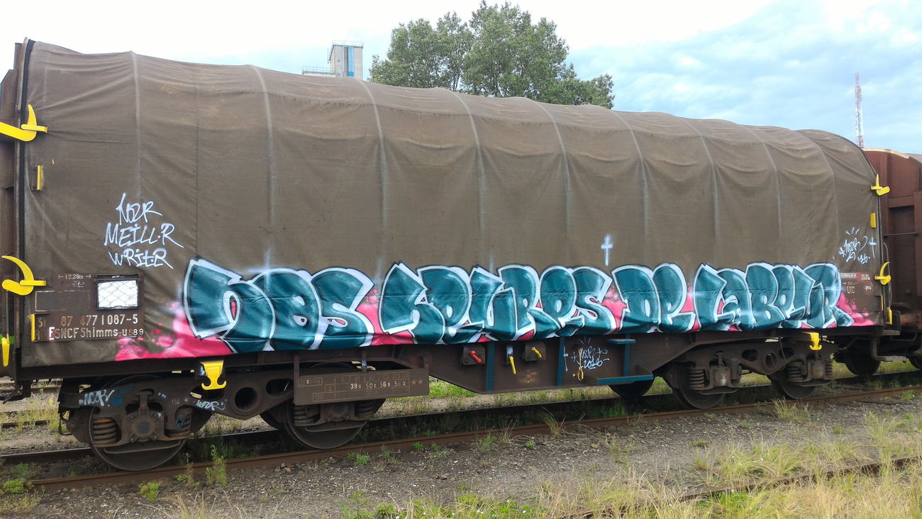 Graffiti Train - Photo by strasbourgraffiti