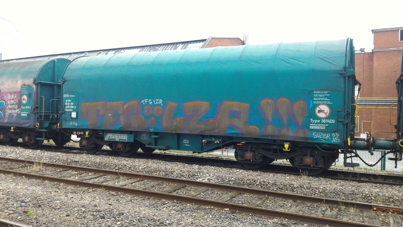 Graffiti Train - Photo by strasbourgraffiti
