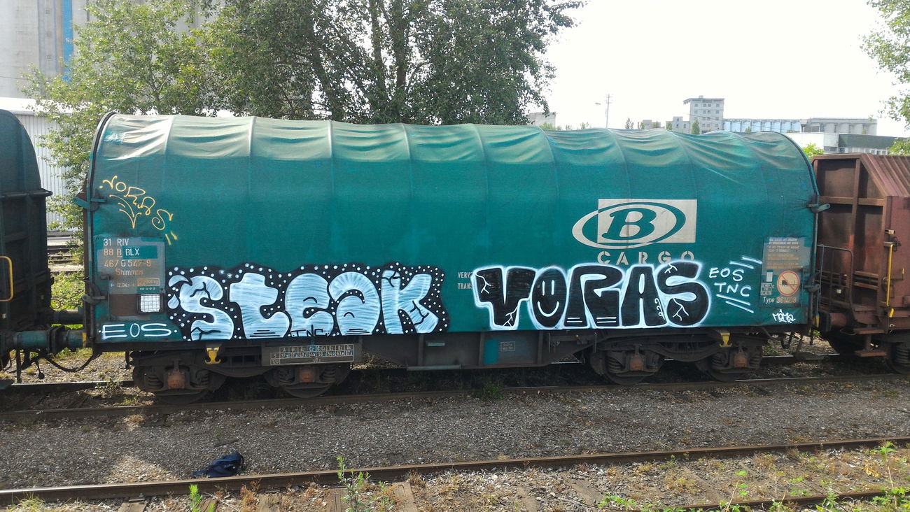 Graffiti Train - Photo by strasbourgraffiti