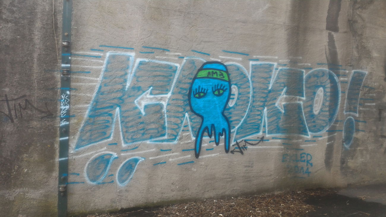 Graffiti Bombing - Photo by strasbourgraffiti