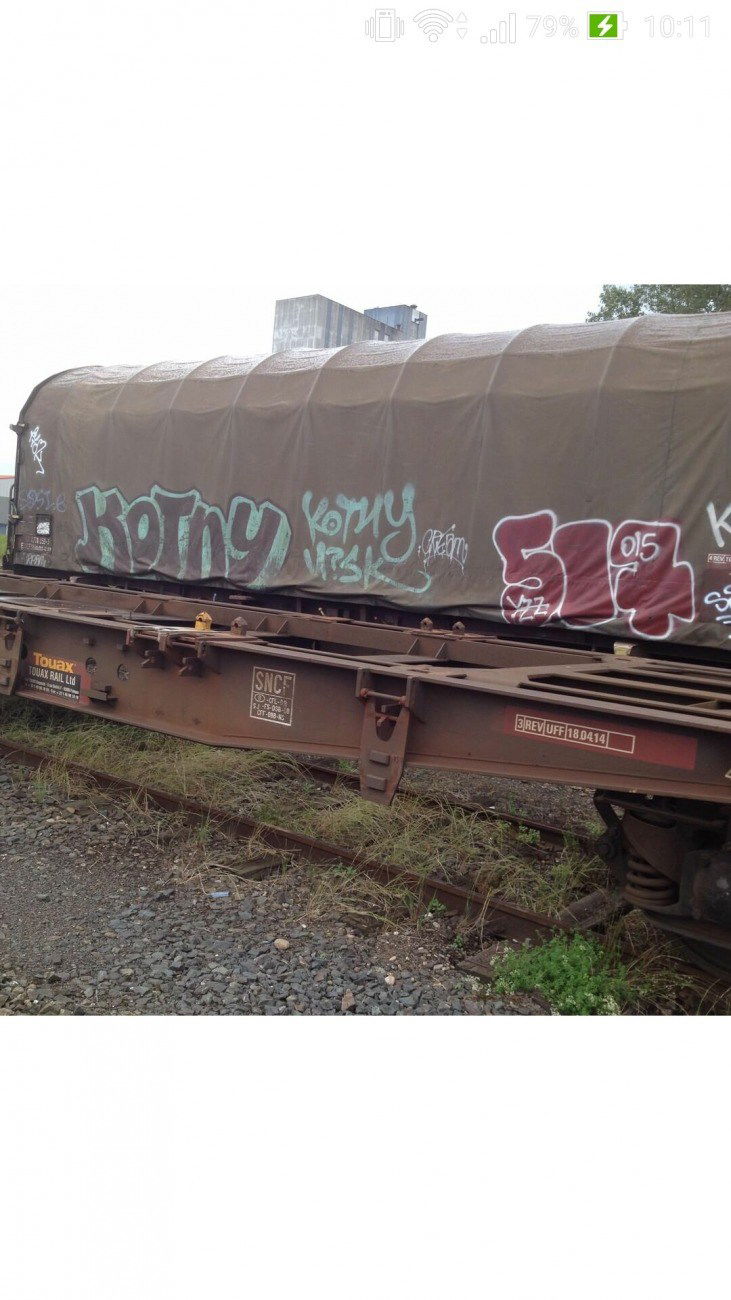 Graffiti Train - Photo by strasbourgraffiti