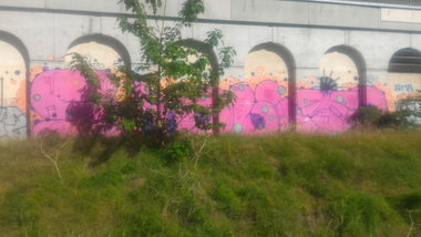 Graffiti Bombing - Photo by strasbourgraffiti