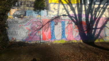 Graffiti Train - Photo by strasbourgraffiti