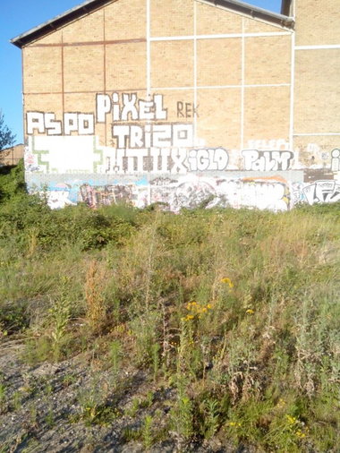 Graffiti Wall - Photo by strasbourgraffiti