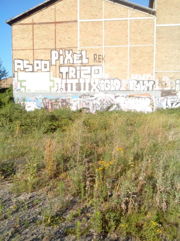 Graffiti Wall - Photo by strasbourgraffiti