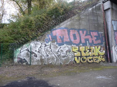 Graffiti Bombing - Photo by strasbourgraffiti