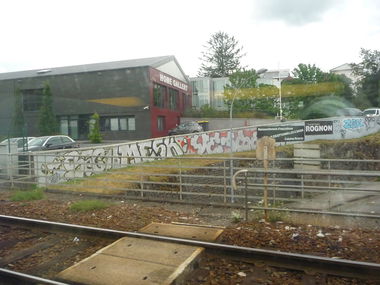 Graffiti Bombing - Photo by strasbourgraffiti